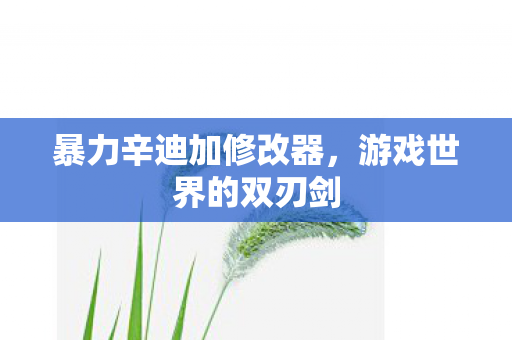 暴力辛迪加修改器图片