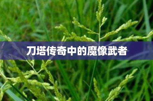 刀塔传奇中的魔像武者图片