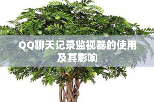 QQ聊天记录监视器的使用及其影响图片