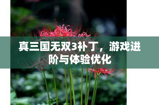 游戏进阶与体验优化图片