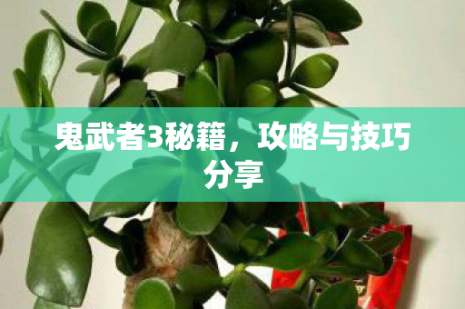 攻略与技巧分享图片