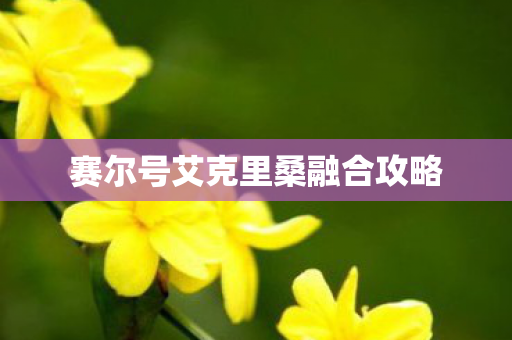 赛尔号艾克里桑融合攻略图片