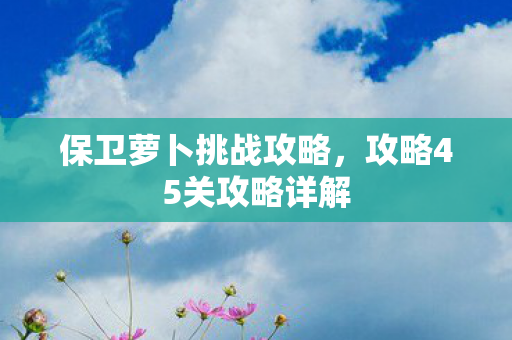攻略45关攻略详解图片