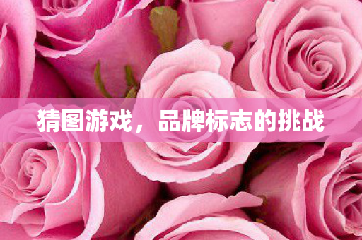 品牌标志的挑战图片