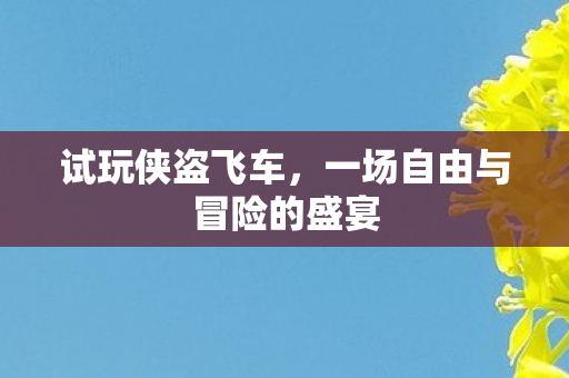 一场自由与冒险的盛宴图片