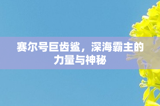深海霸主的力量与神秘图片