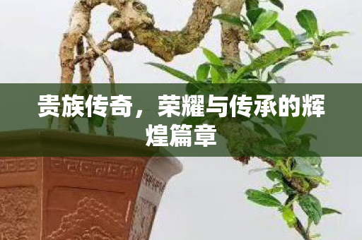 荣耀与传承的辉煌篇章图片