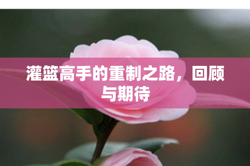 灌篮高手的重制之路图片