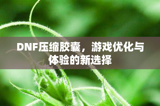 游戏优化与体验的新选择图片