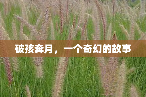 一个奇幻的故事图片