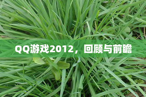 QQ游戏2012图片