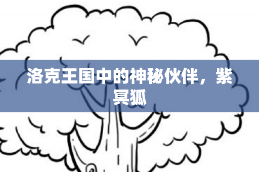 洛克王国中的神秘伙伴图片