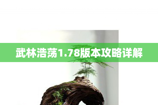 78版本攻略详解图片