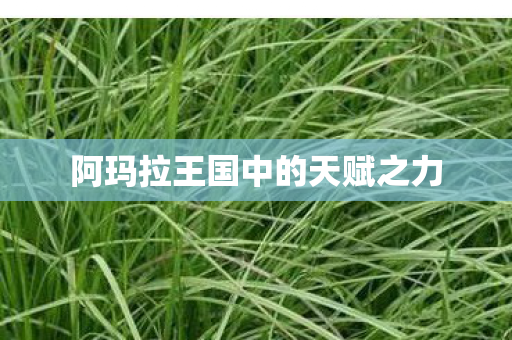 阿玛拉王国中的天赋之力图片