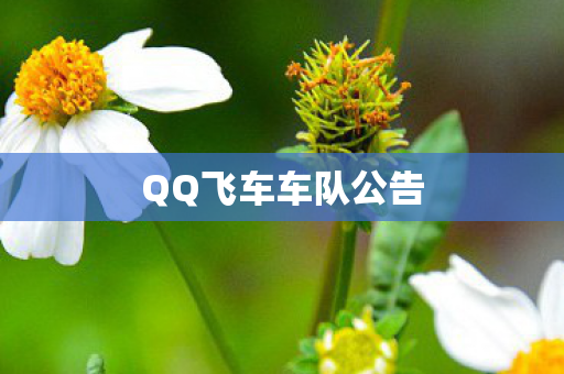 QQ飞车车队公告图片