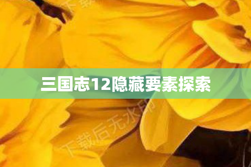 三国志12隐藏要素探索图片