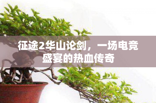 一场电竞盛宴的热血传奇图片
