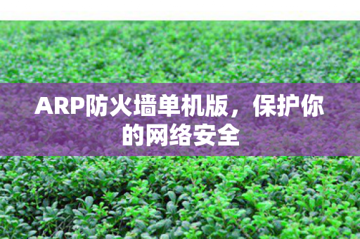 ARP防火墙单机版图片
