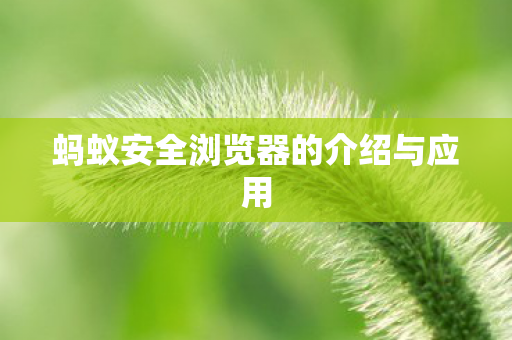 蚂蚁安全浏览器的介绍与应用图片