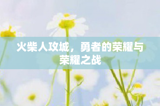勇者的荣耀与荣耀之战图片