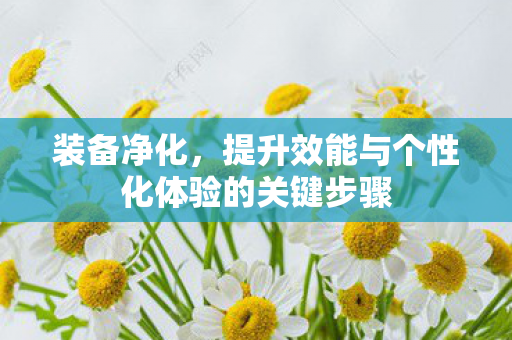 提升效能与个性化体验的关键步骤图片