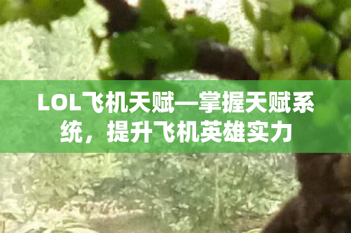 提升飞机英雄实力图片