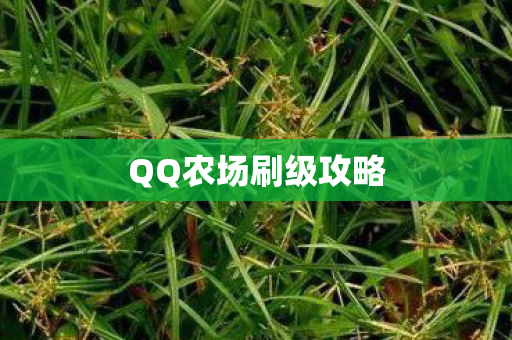 QQ农场刷级攻略图片