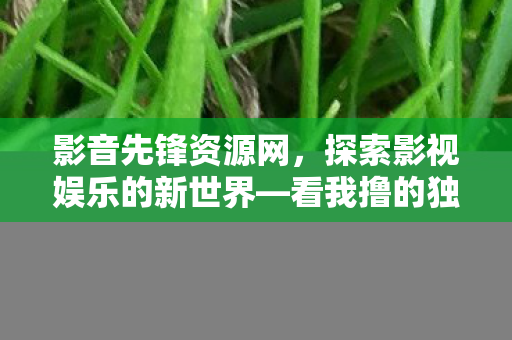 探索影视娱乐的新世界图片