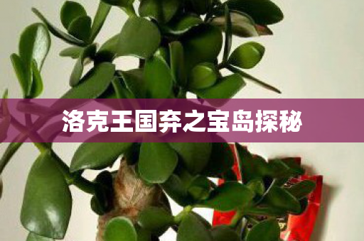 洛克王国弃之宝岛探秘图片