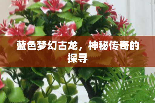 神秘传奇的探寻图片