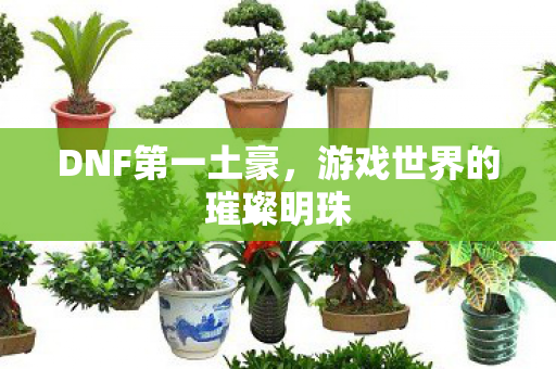 游戏世界的璀璨明珠图片