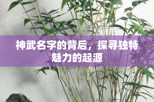 探寻独特魅力的起源图片