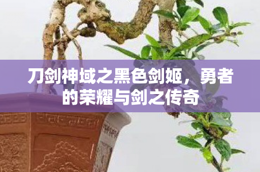 勇者的荣耀与剑之传奇图片