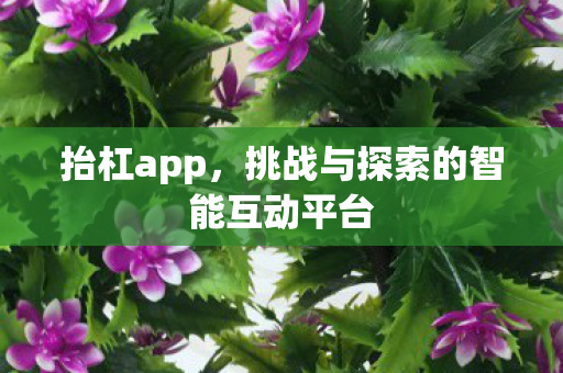 挑战与探索的智能互动平台图片