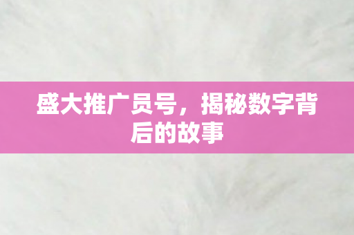 揭秘数字背后的故事图片