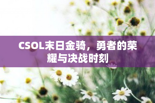 勇者的荣耀与决战时刻图片