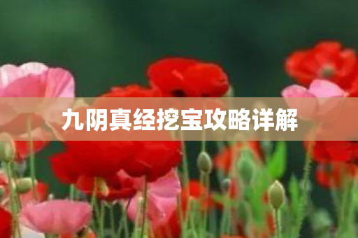 九阴真经挖宝攻略详解图片
