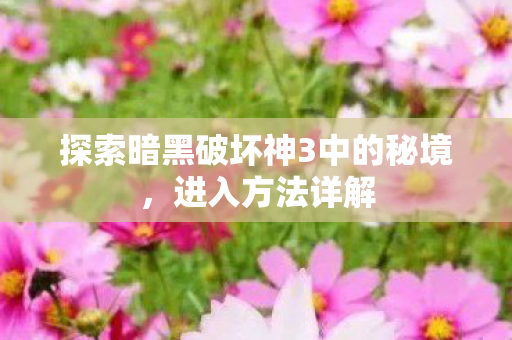 探索暗黑破坏神3中的秘境图片