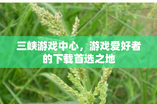 游戏爱好者的下载首选之地图片