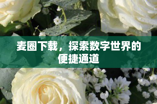 探索数字世界的便捷通道图片