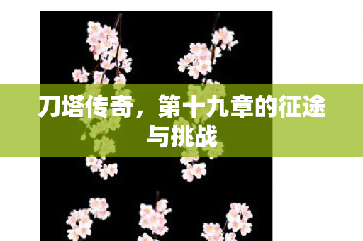 第十九章的征途与挑战图片