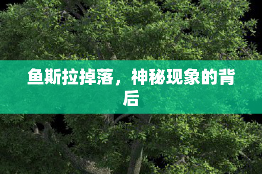 神秘现象的背后图片