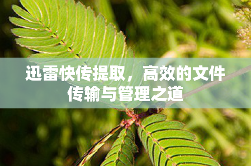高效的文件传输与管理之道图片