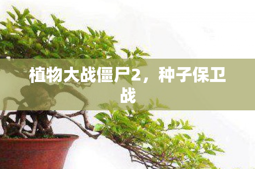 植物大战僵尸2图片