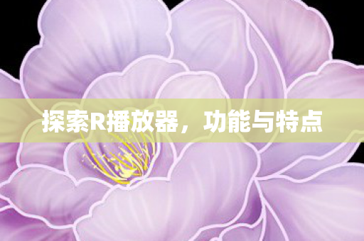 探索R播放器图片