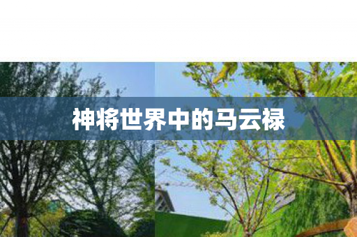 神将世界中的马云禄图片