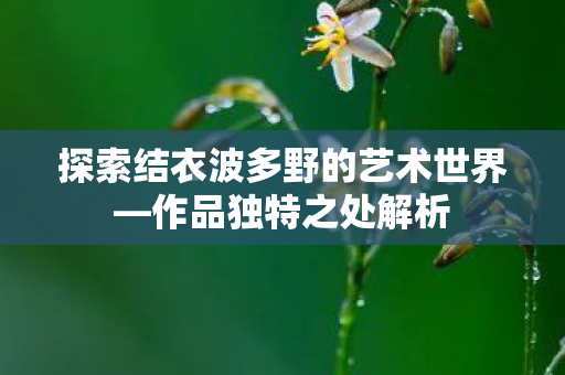 探索结衣波多野的艺术世界图片