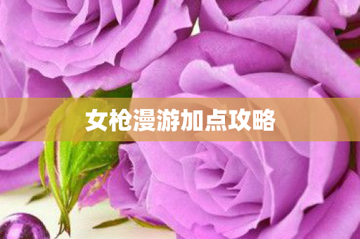 女枪漫游加点攻略图片