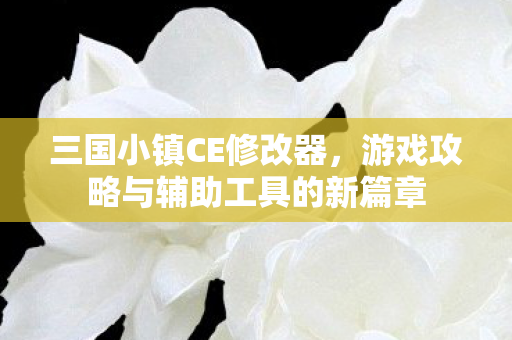游戏攻略与辅助工具的新篇章图片