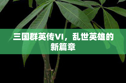 乱世英雄的新篇章图片